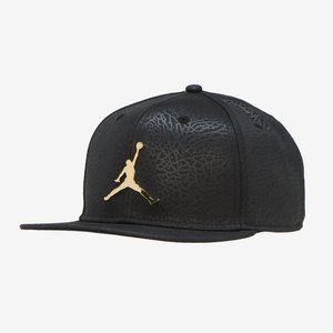 Jordan Pro Element Ingot Cap